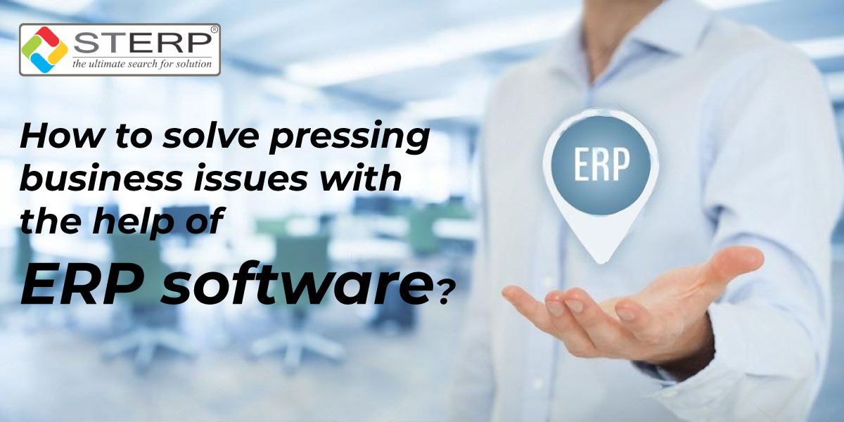 How to solve pressing business issues with the help of ERP software?